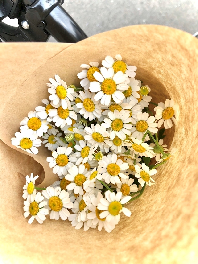 佐野 エマ