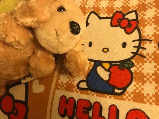 あしだ まな