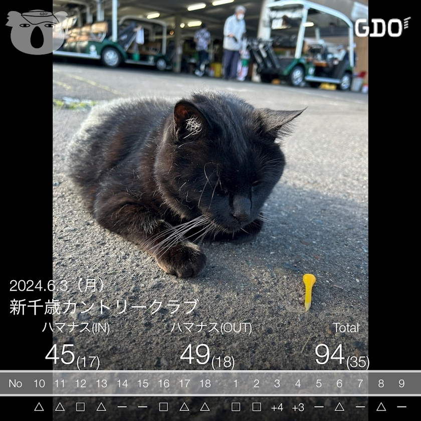妃乃 すず
