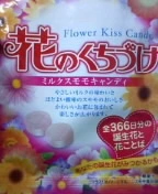 紫音