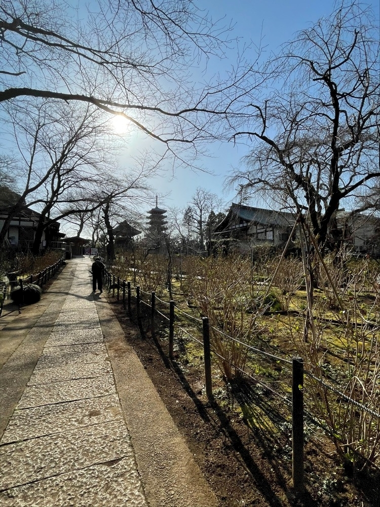 七海 結愛