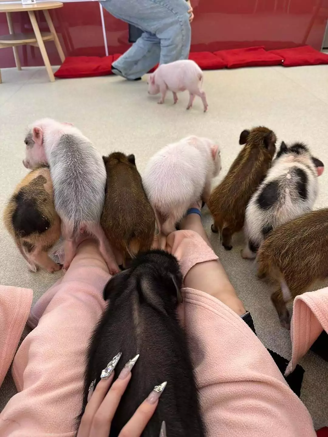 ナナ