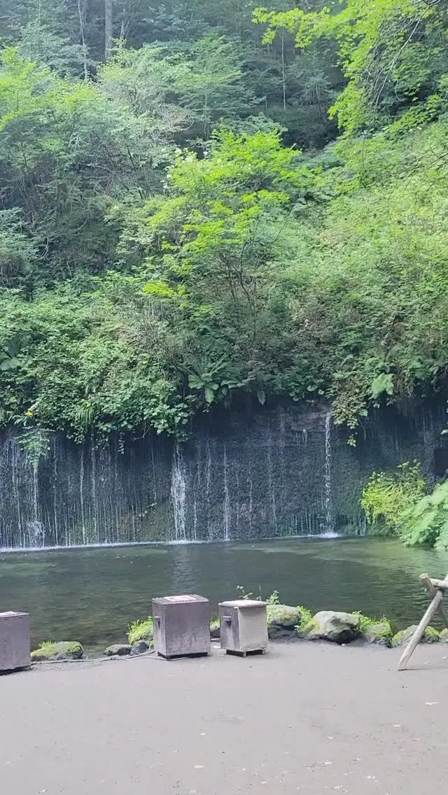 桃園 かんな