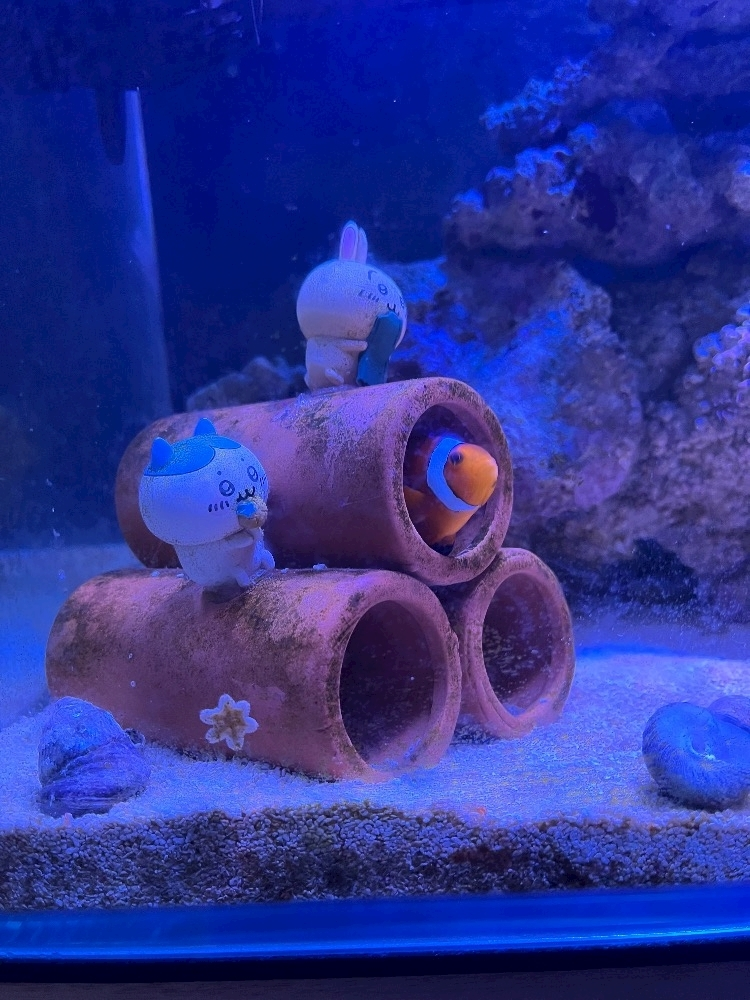 ナミ
