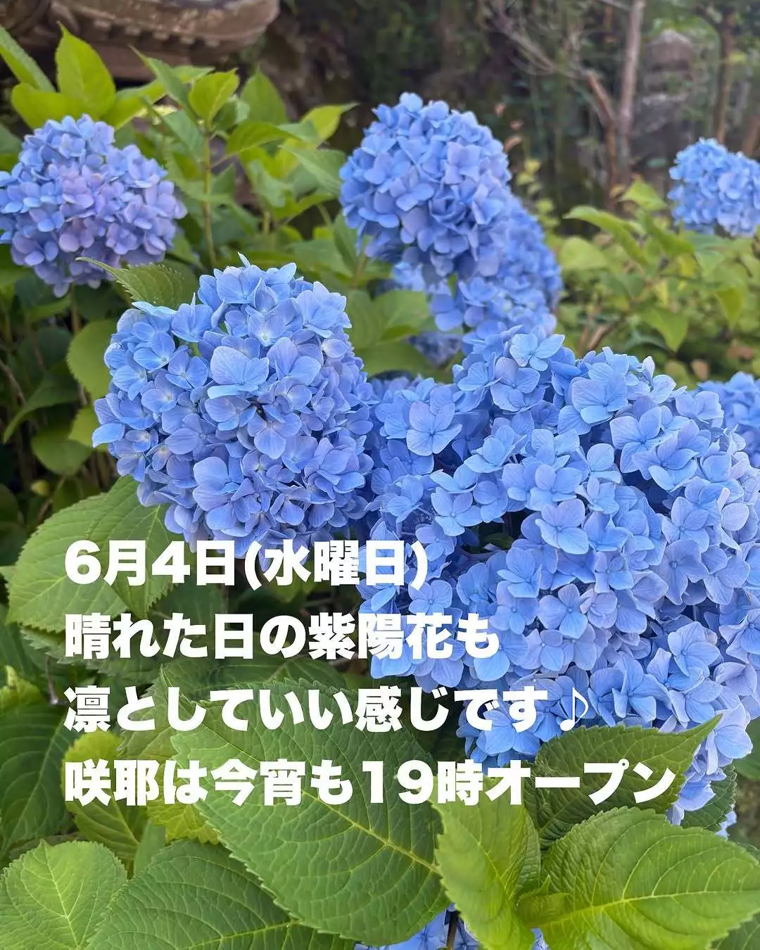 藤本 祐子ママ