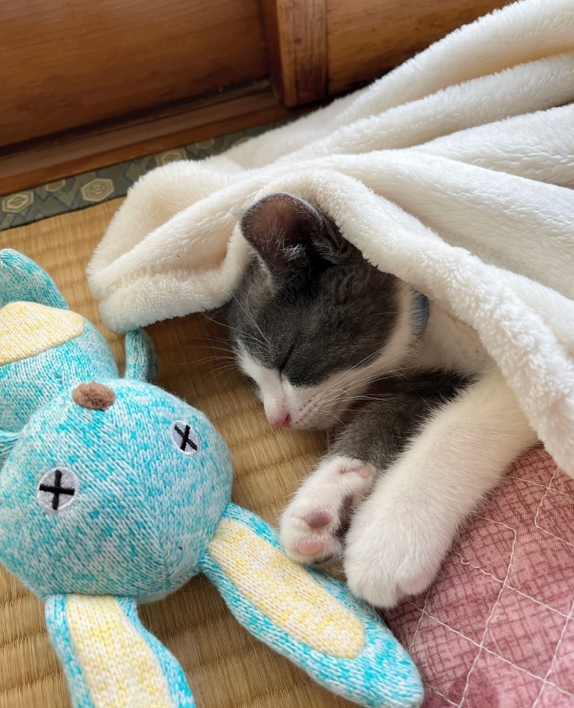 なぎ