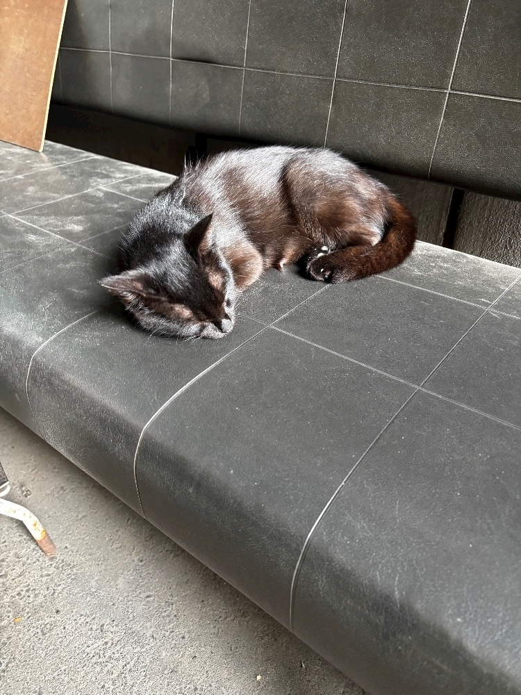 ほのか