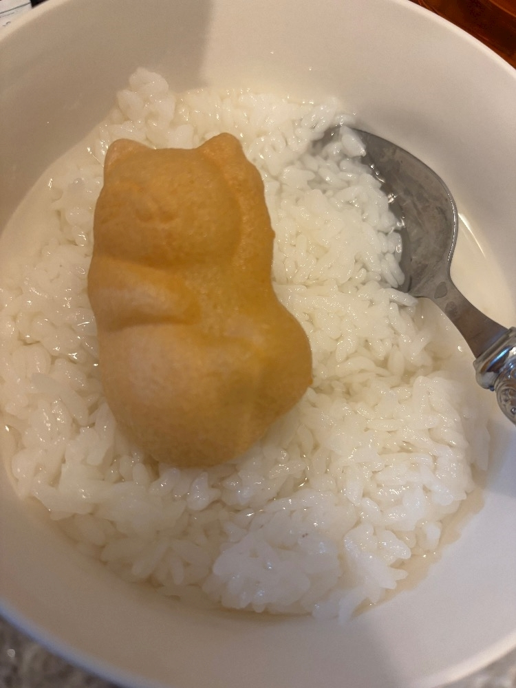 大園 桃子