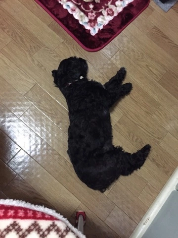 りょう