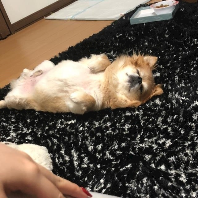 片桐 さやか
