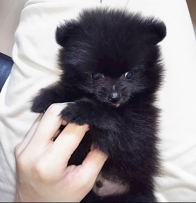 ティナ