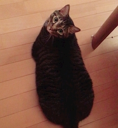 みな