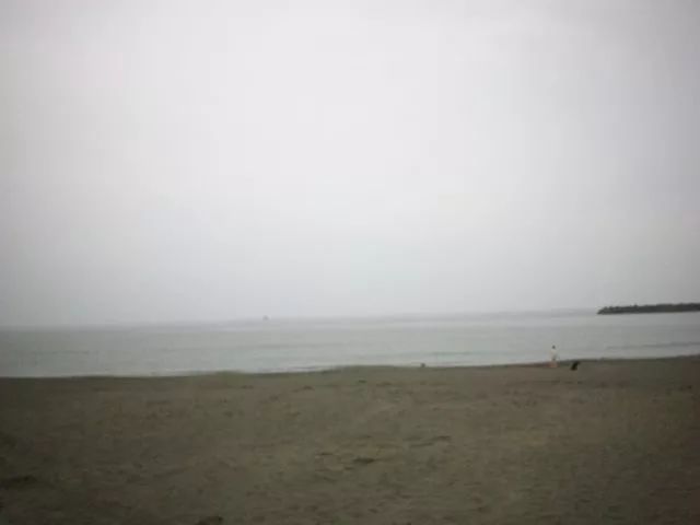 三咲 優