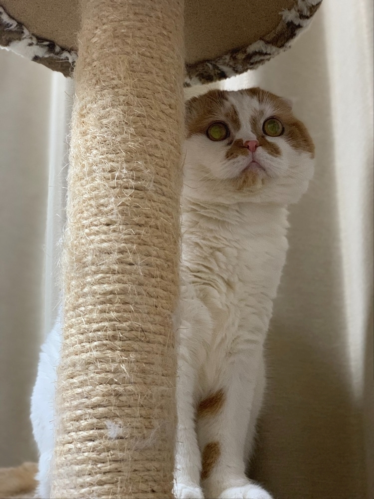 れみ