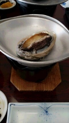 妃 えりか