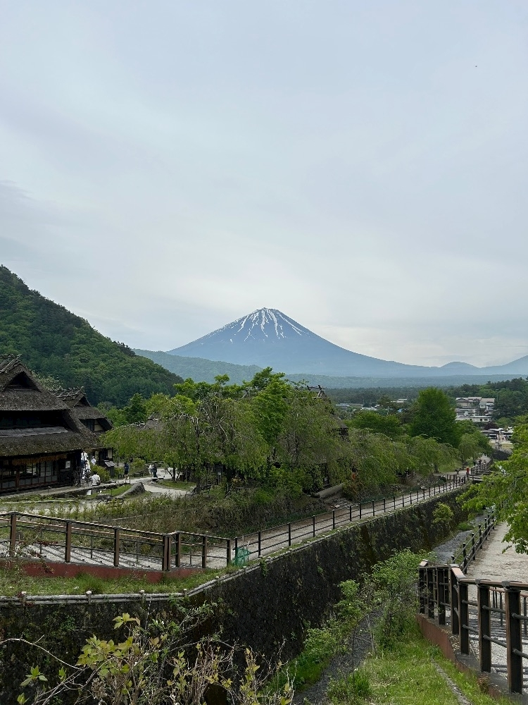 せな