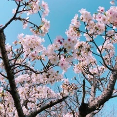 あい