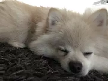 綾瀬 さき