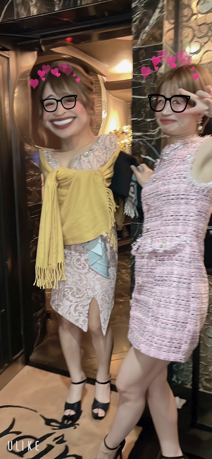 椿