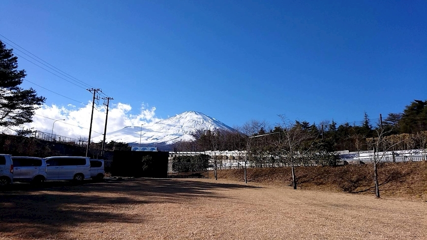 朝倉 しおり