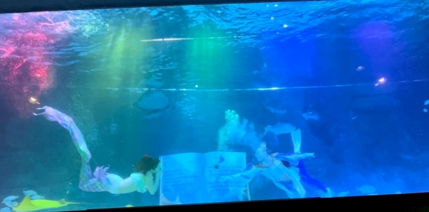 鳥人間 るな