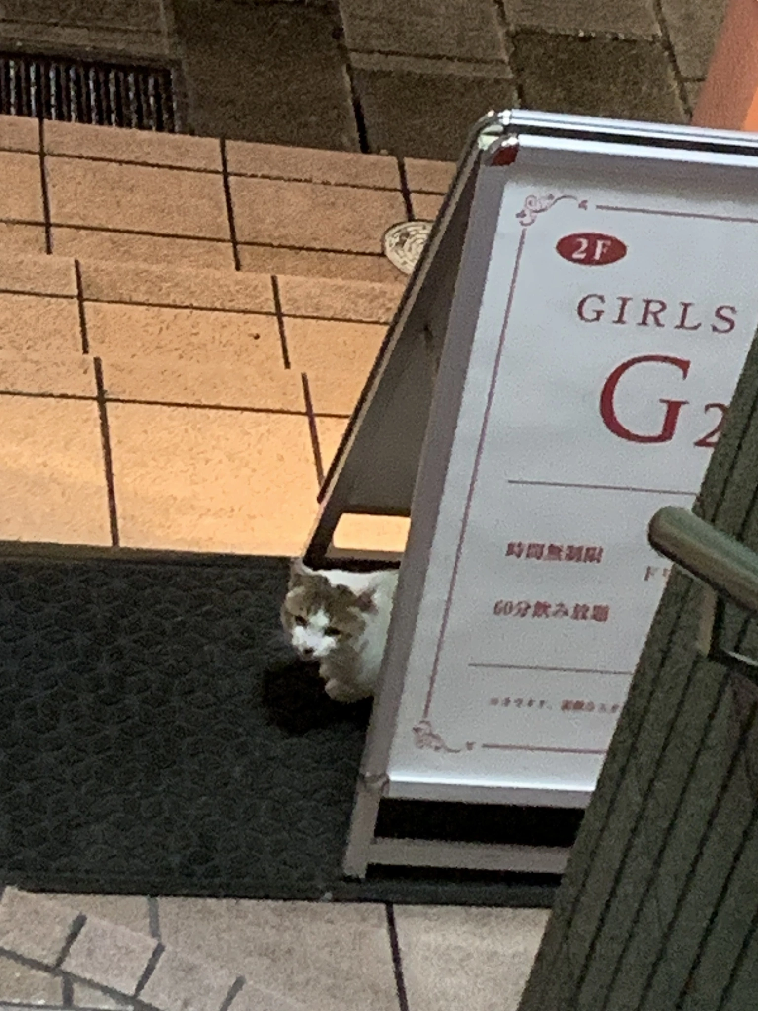 かえで