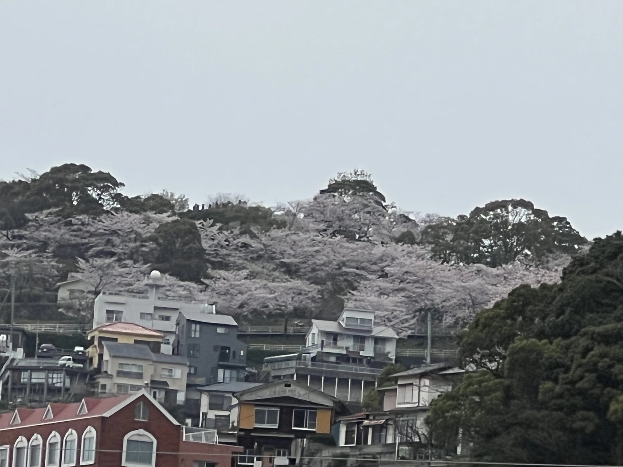 藤本 祐子ママ
