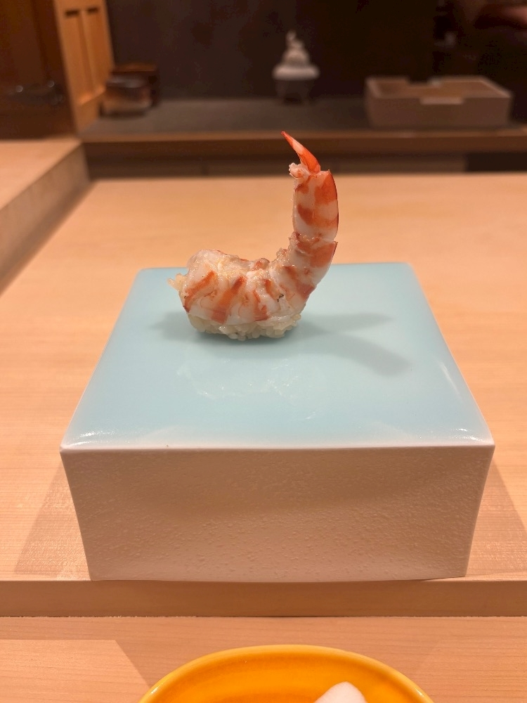 陽向 もみじ