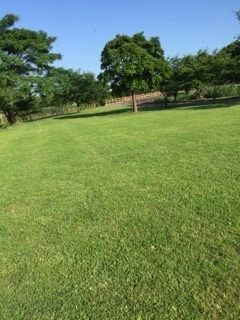 かおり