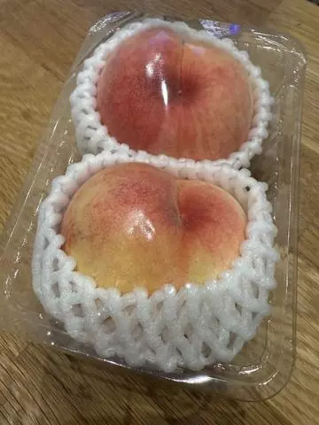 白石 愛莉