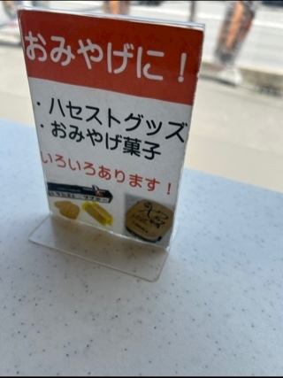 空条 しいな