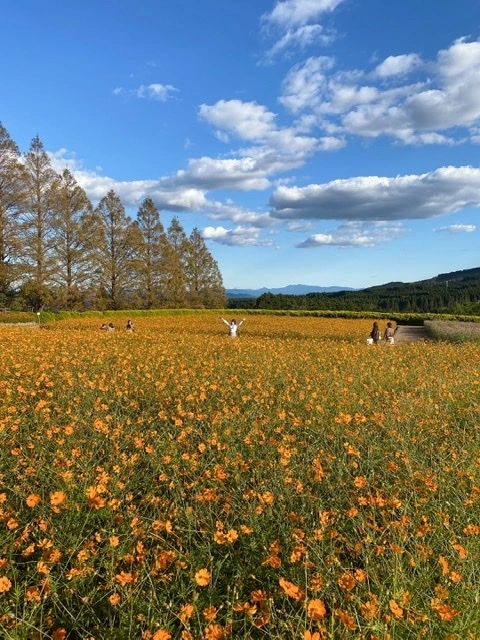 しおり