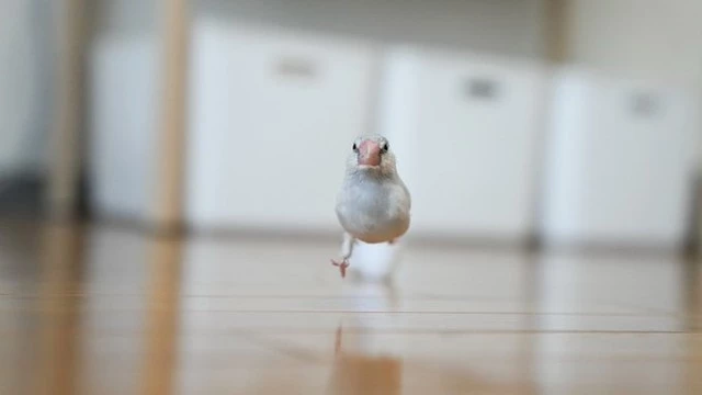 れん