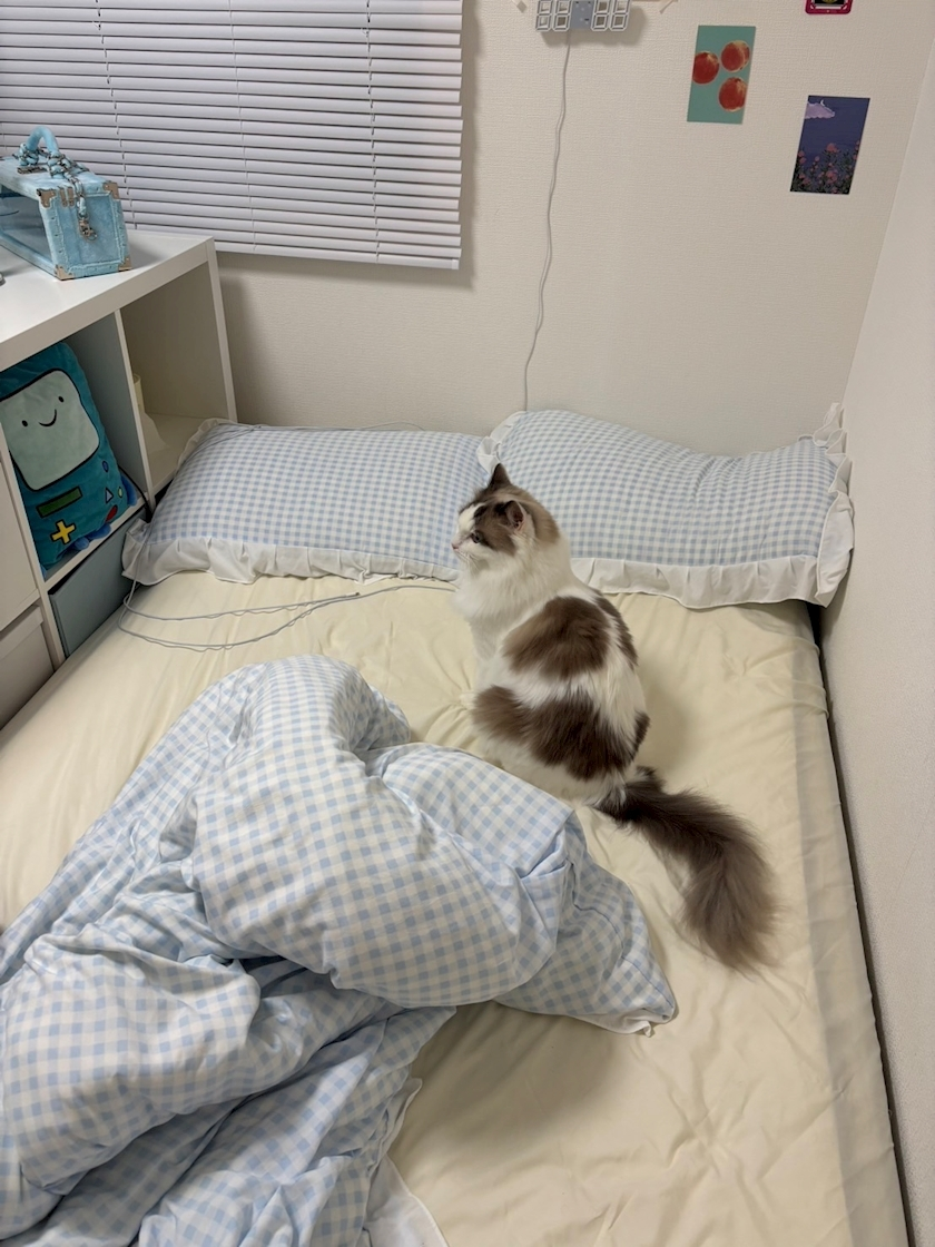 辻 みなみ