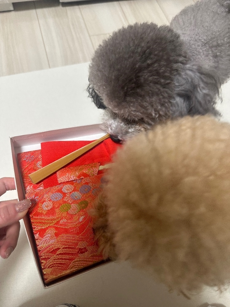 日向 茉莉