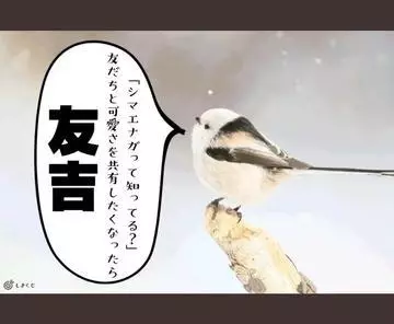 ひな