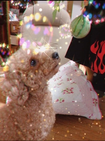 なな