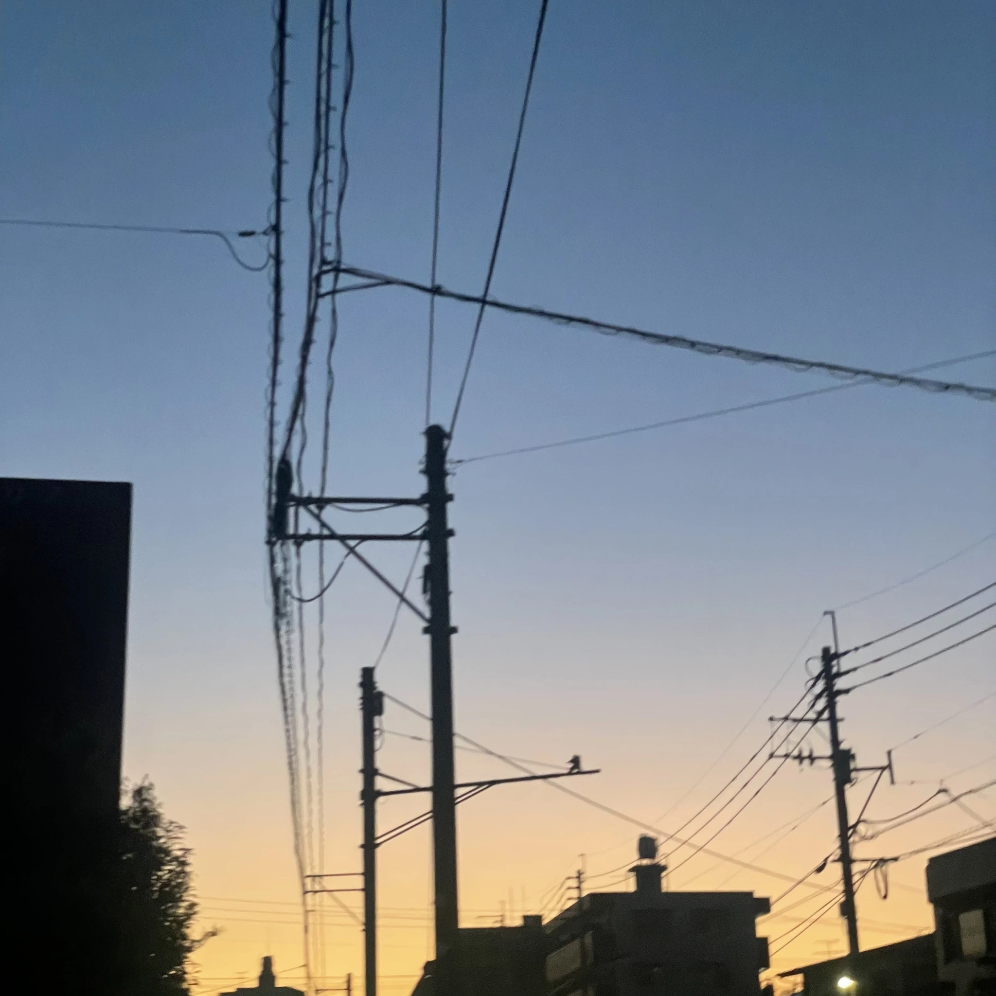ちゃお
