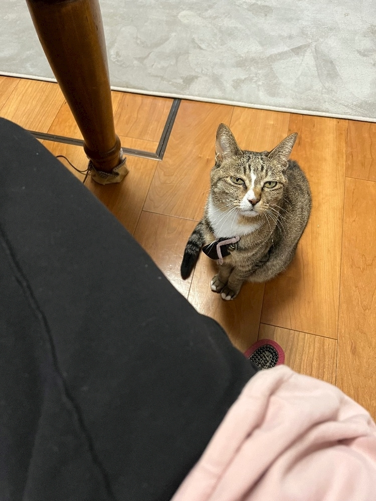 花音