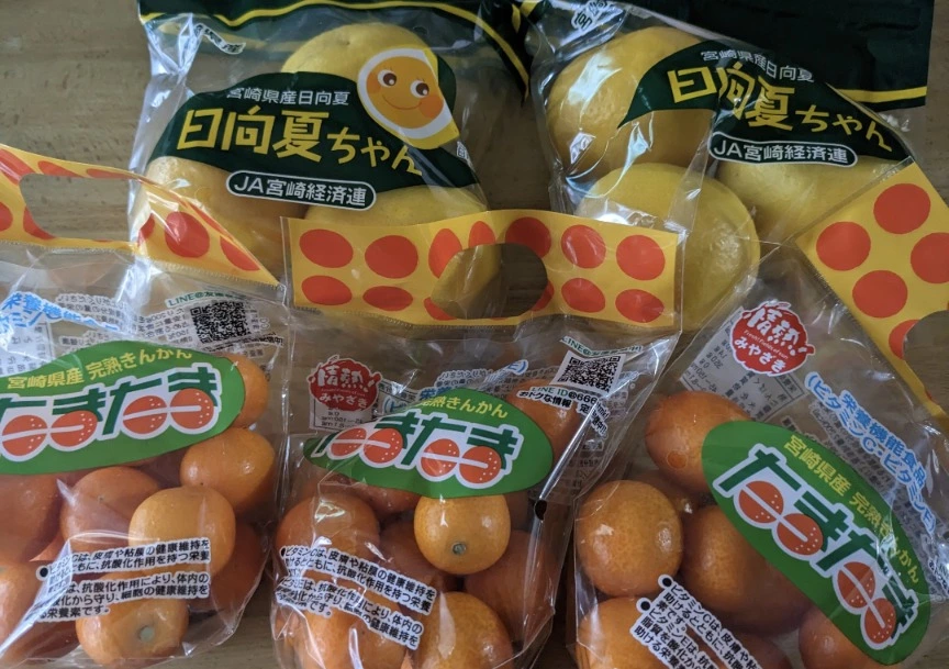 五条 椿