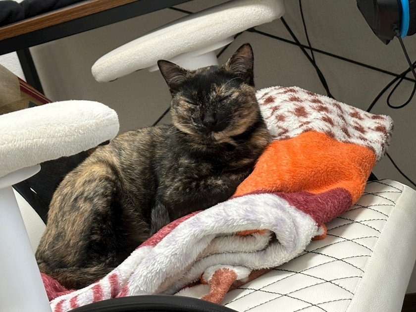 藤花 ゆの