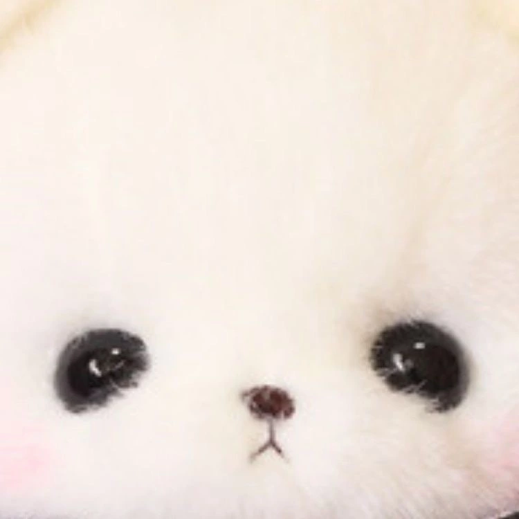 みうむ