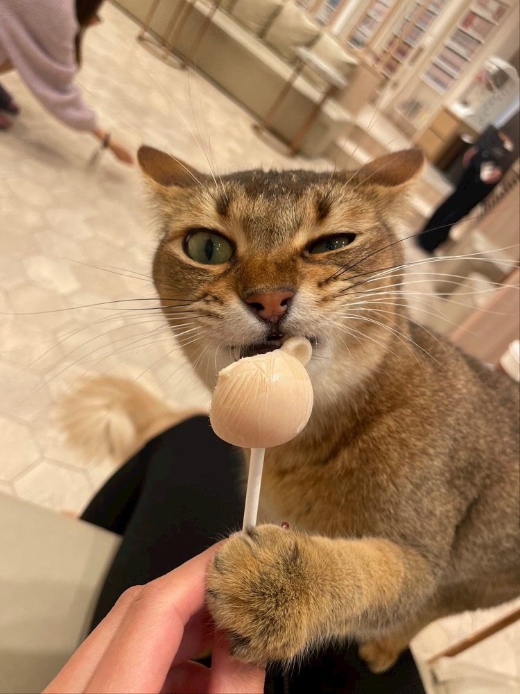 らん