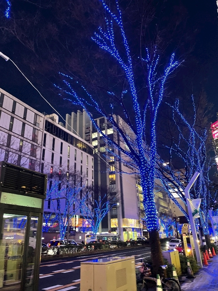 朝倉 しおり