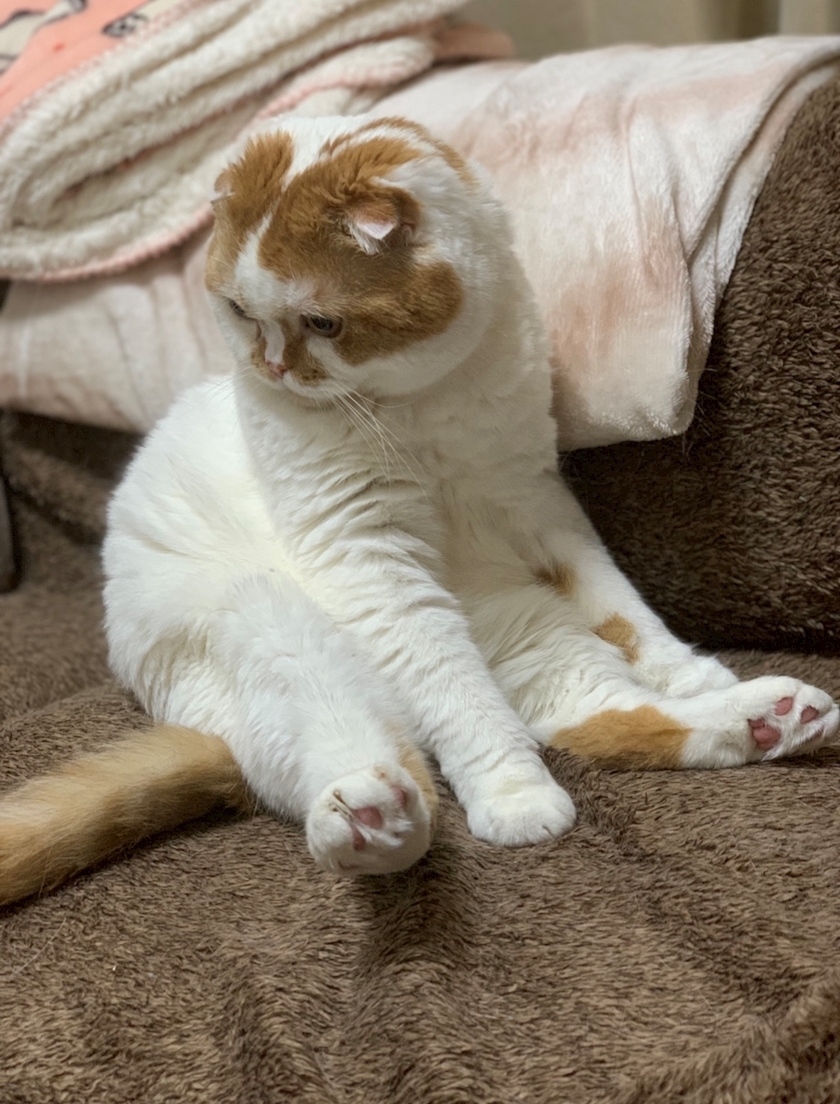 れみ