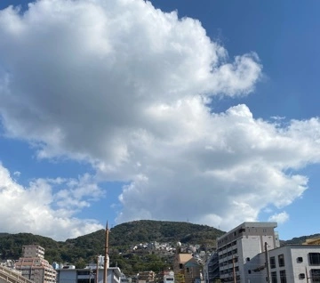 里奈