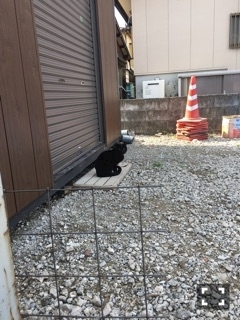 くま