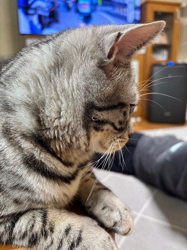 あーだこーだそら