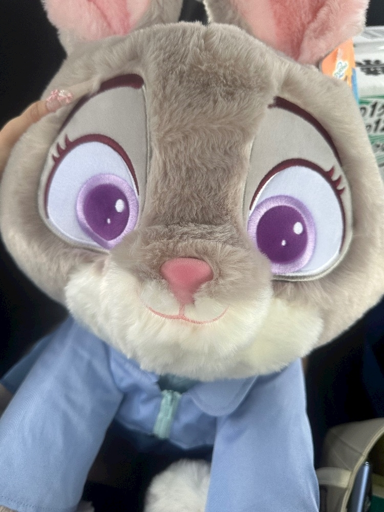 らん