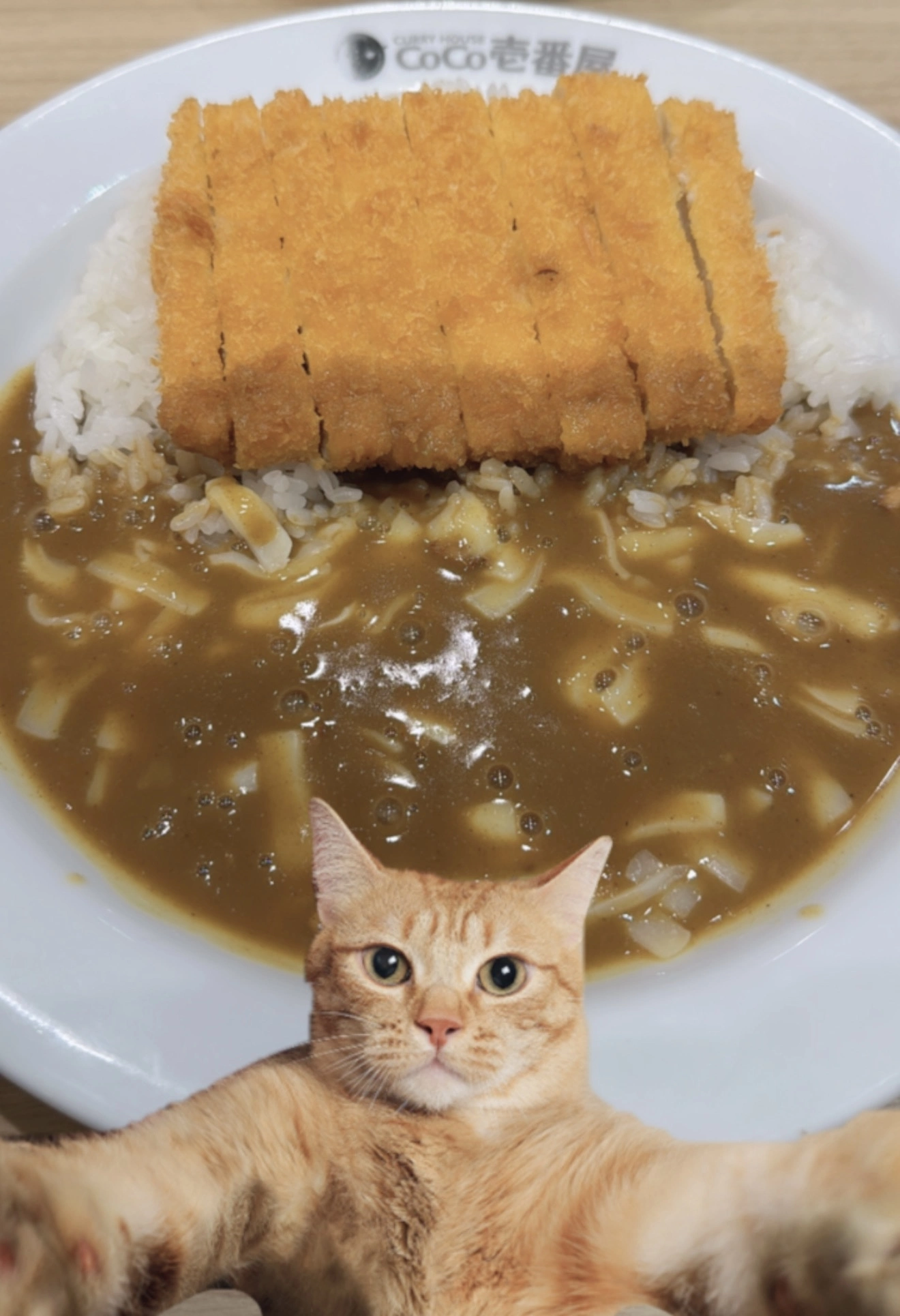 ♡15♡